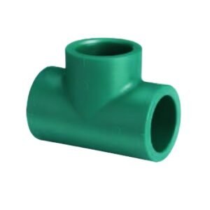 TEE NORMAL AS 63          2 DE