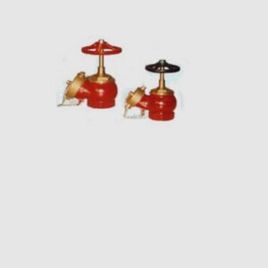 Válvulas teatro con salida storz